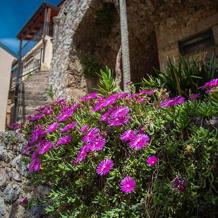 ורבניק Parona Holiday Home מראה חיצוני תמונה