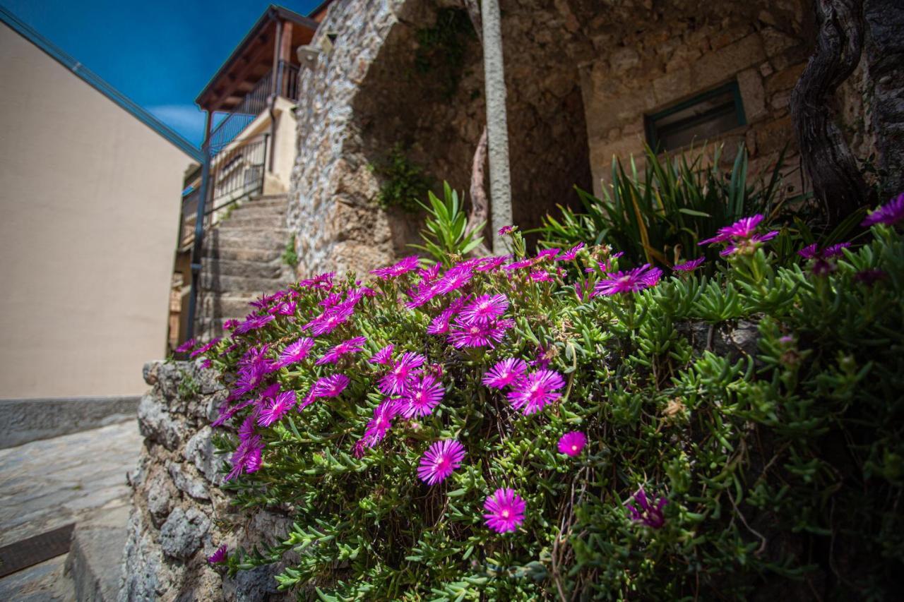 ורבניק Parona Holiday Home מראה חיצוני תמונה